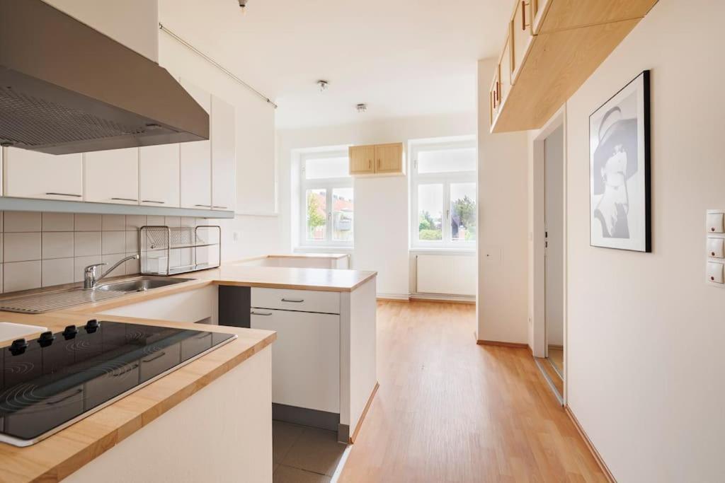 Beautiful 1 Bedroom Apartment Near Schoenbrunn Wien Eksteriør bilde